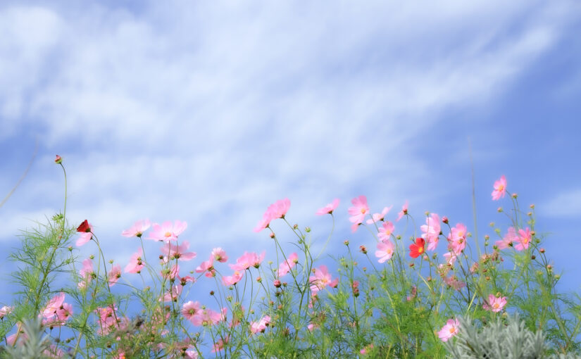 ～ 閑話 ～ 小さな幸せ（笑）